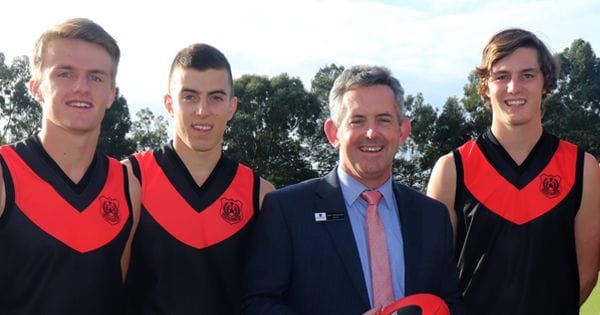 AFL Success